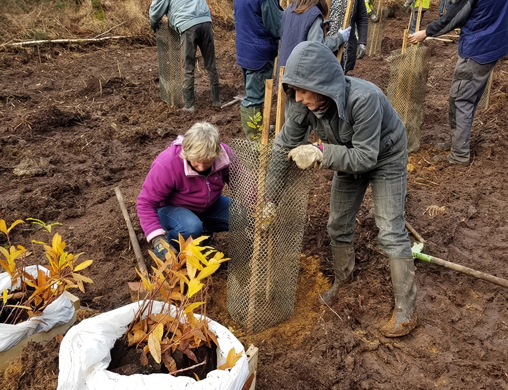 plantations d'arbres Clim'Actions 2024 soutenues par le fonds de dotation actionnaire du groupe Ecodis